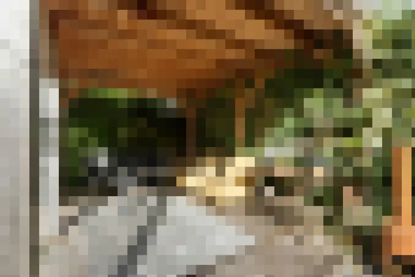 Bongerd 43 Malden thumbnail 12