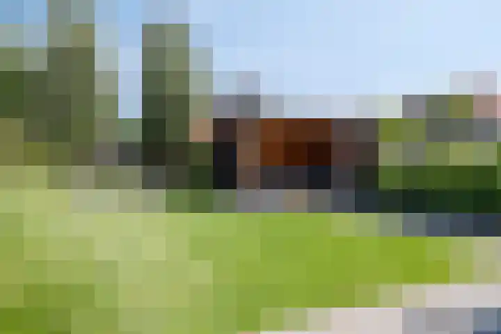 Bongerd 45 Helden thumbnail 30