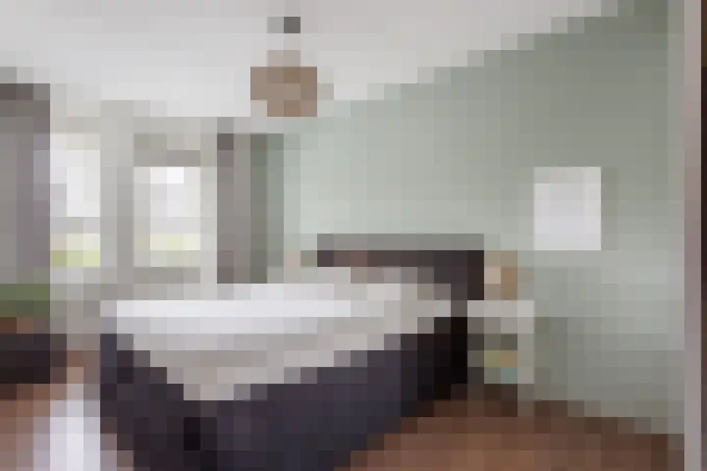 Bongerd 48 Borne thumbnail 13