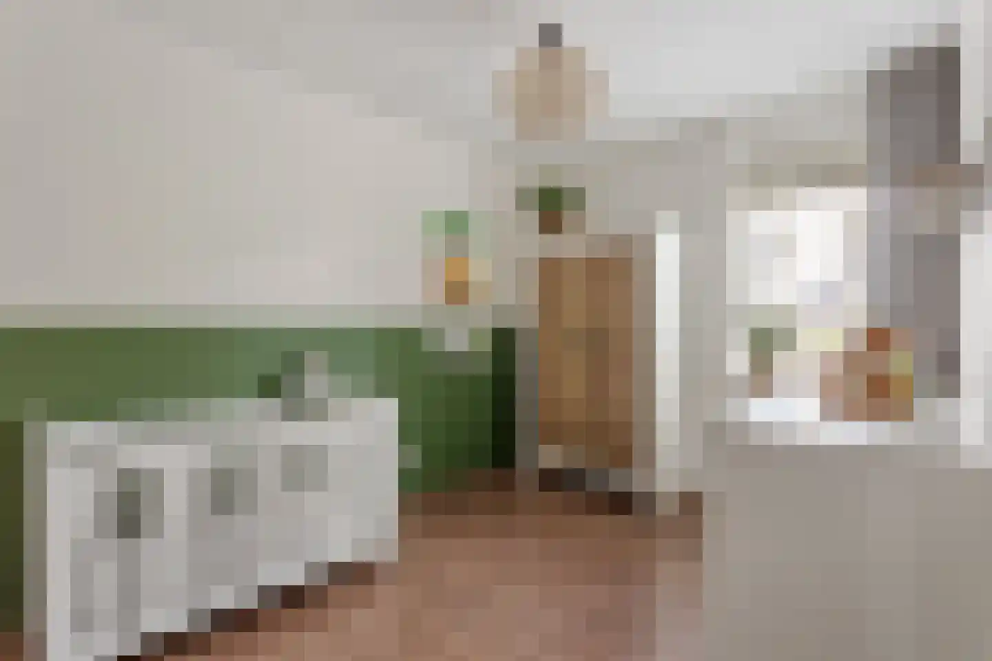 Bongerd 48 Borne thumbnail 14