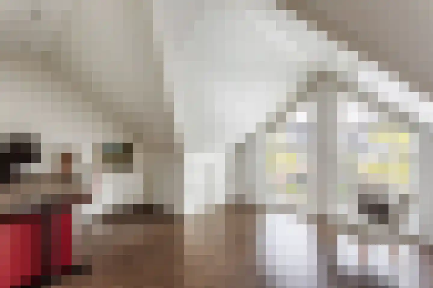 Bongerd 48 Borne thumbnail 17