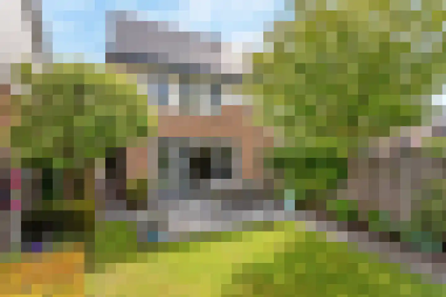 Bongerd 48 Borne thumbnail 18