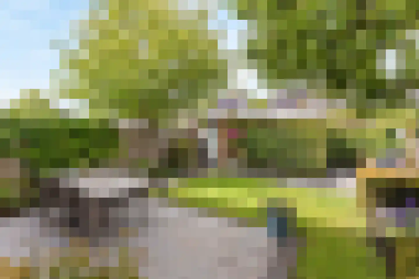 Bongerd 48 Borne thumbnail 19