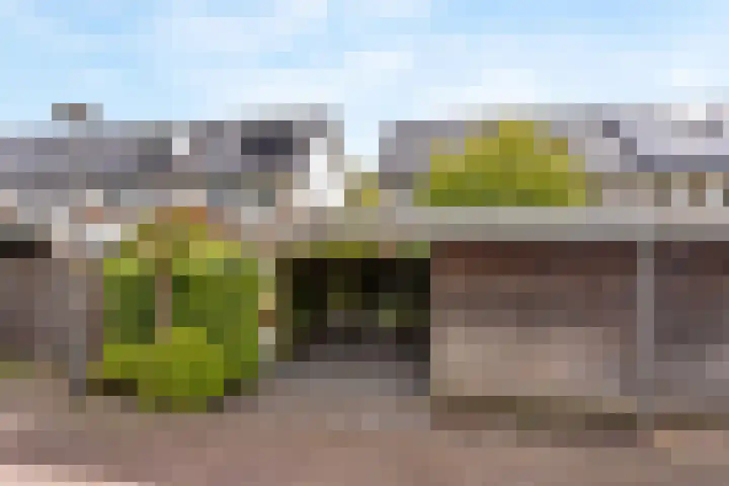 Bongerd 48 Borne thumbnail 20
