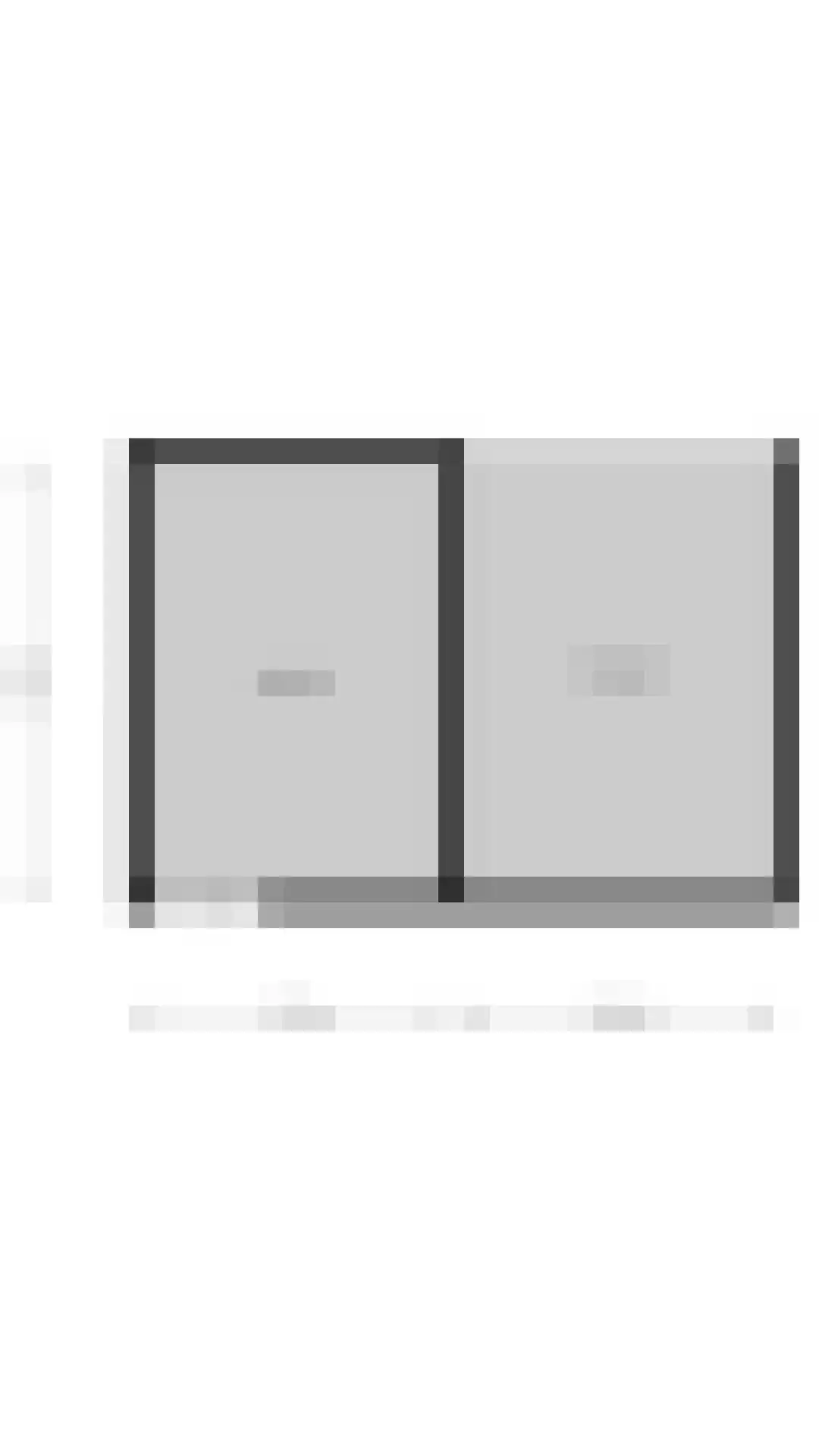 Bongerd 48 Borne thumbnail 24
