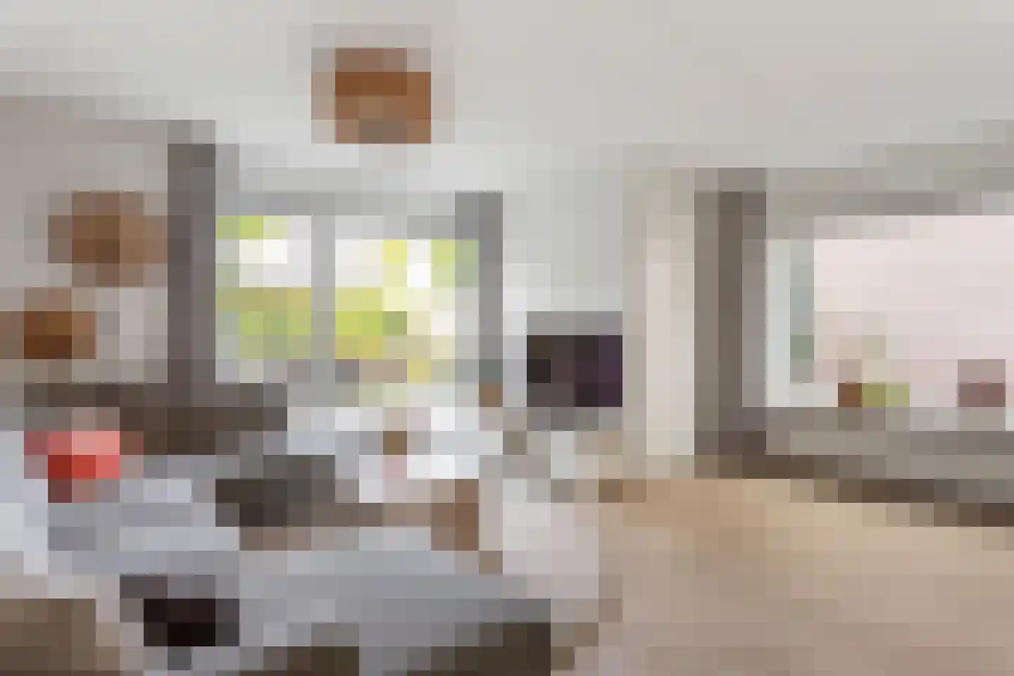 Bongerd 48 Borne thumbnail 7