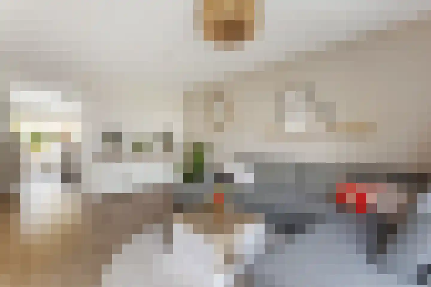 Bongerd 48 Borne thumbnail 8