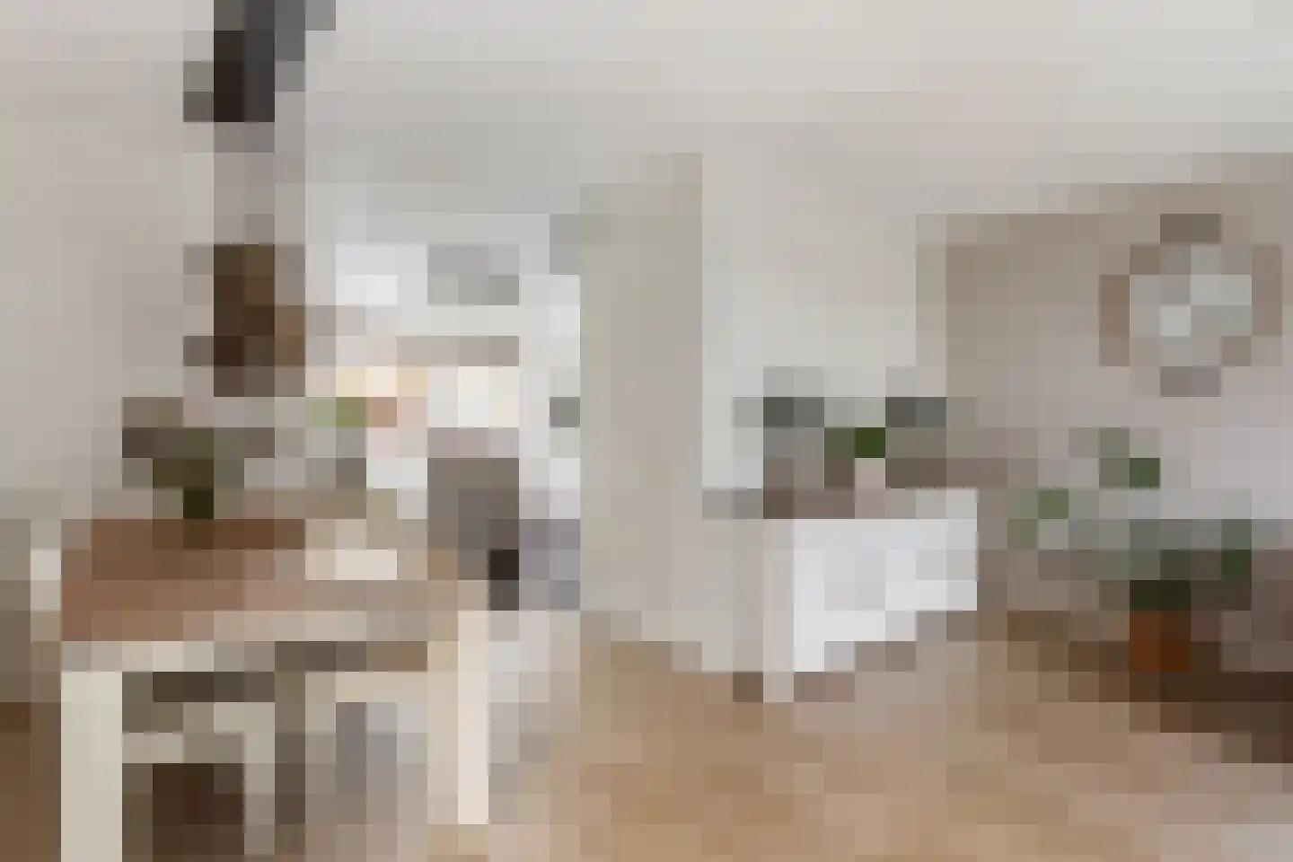 Bongerd 48 Borne thumbnail 9