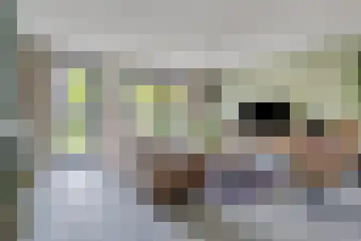 Bongerd 50 A Helden thumbnail 12