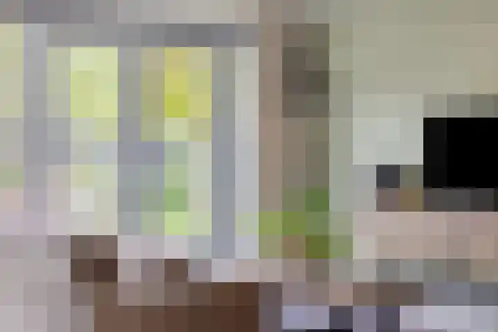 Bongerd 50 A Helden thumbnail 13