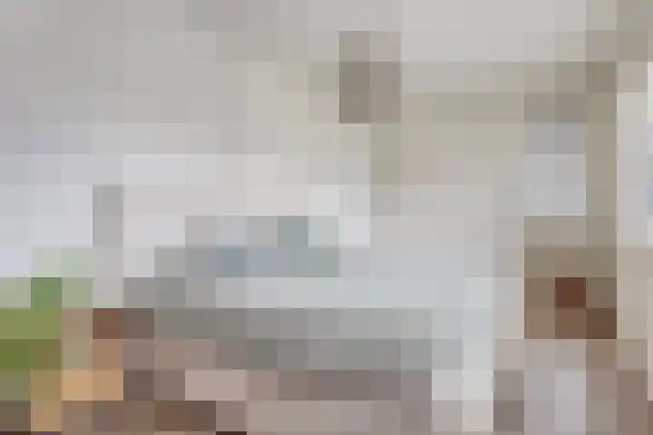 Bongerd 50 A Helden thumbnail 20