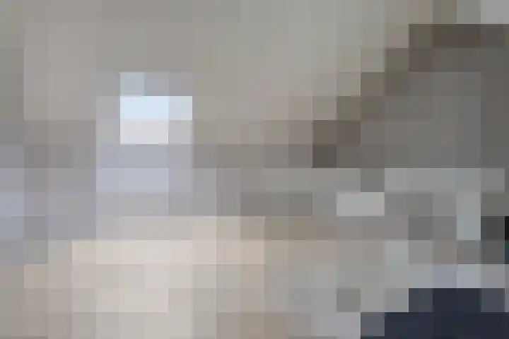 Bongerd 50 A Helden thumbnail 25