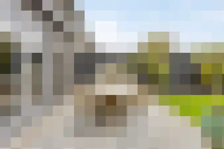 Bongerd 50 A Helden thumbnail 26