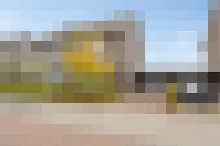 Bongerd 50 A Helden thumbnail 36