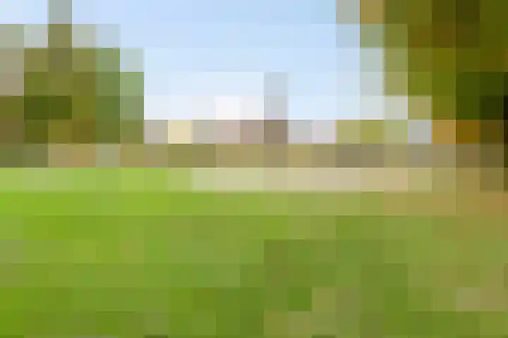 Bongerd 50 A Helden thumbnail 37
