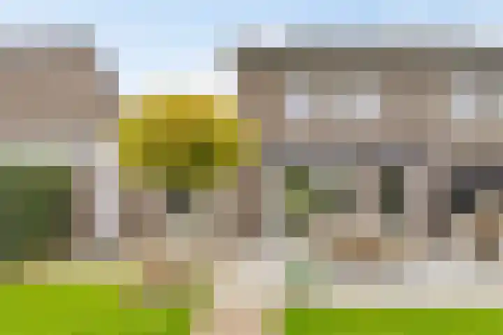Bongerd 50 A Helden thumbnail 4