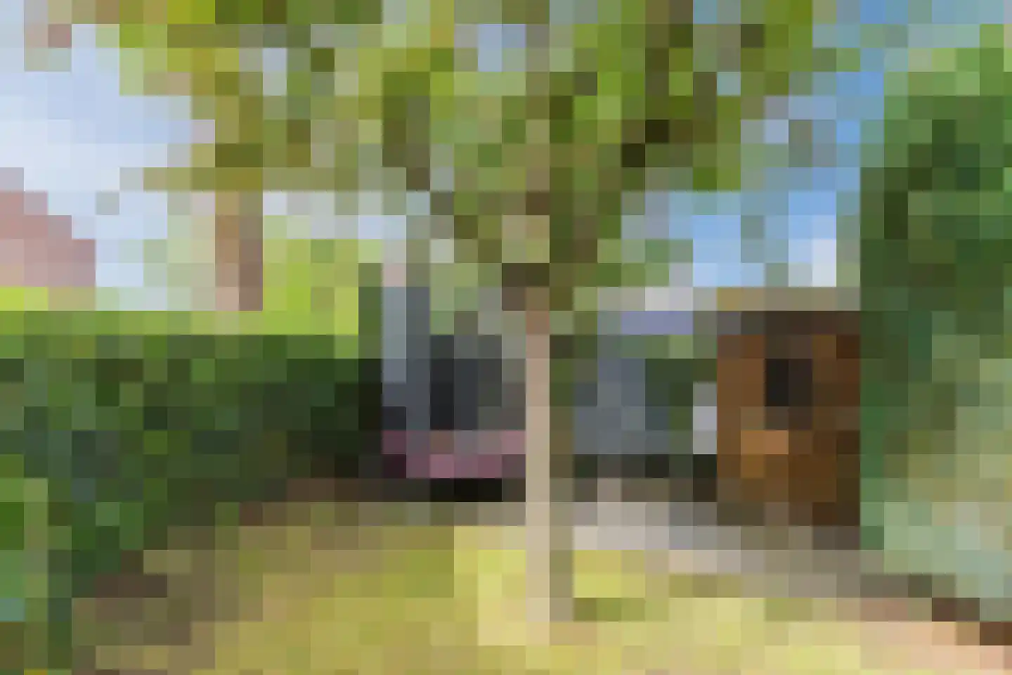 Bongerd 62 Malden thumbnail 37
