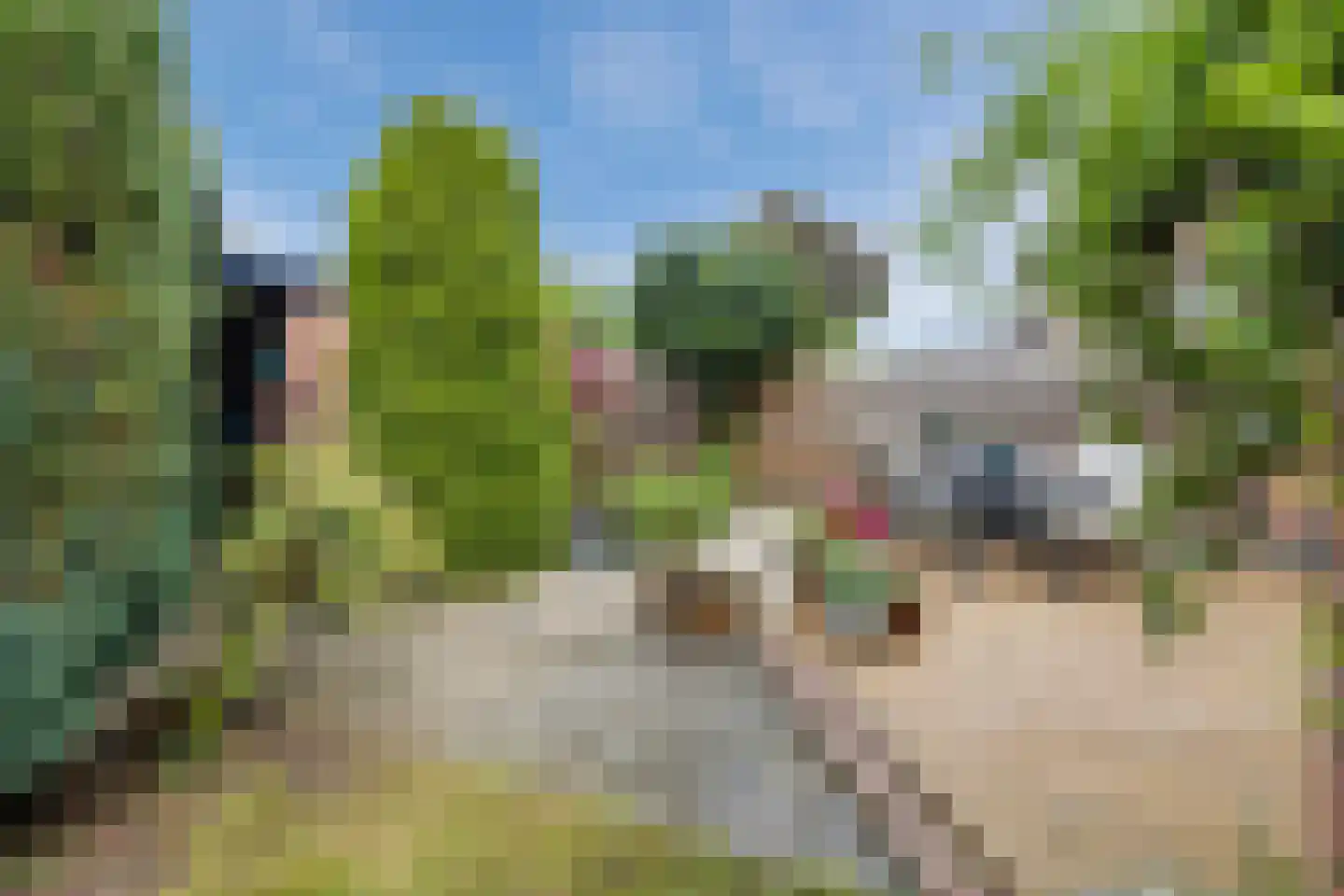 Bongerd 62 Malden thumbnail 38