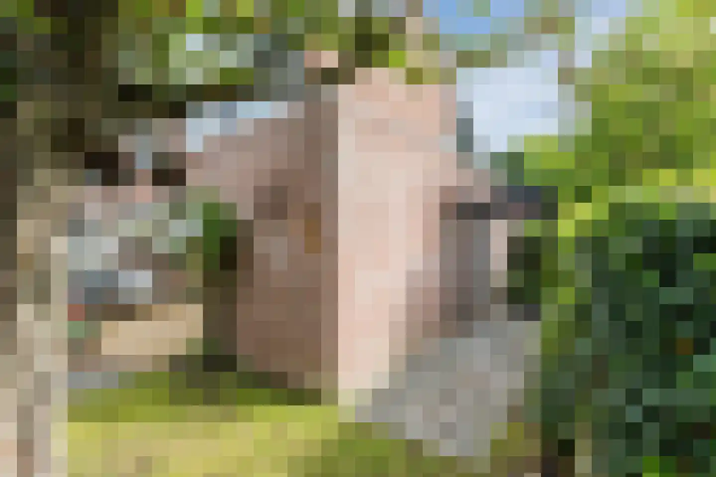 Bongerd 62 Malden thumbnail 39