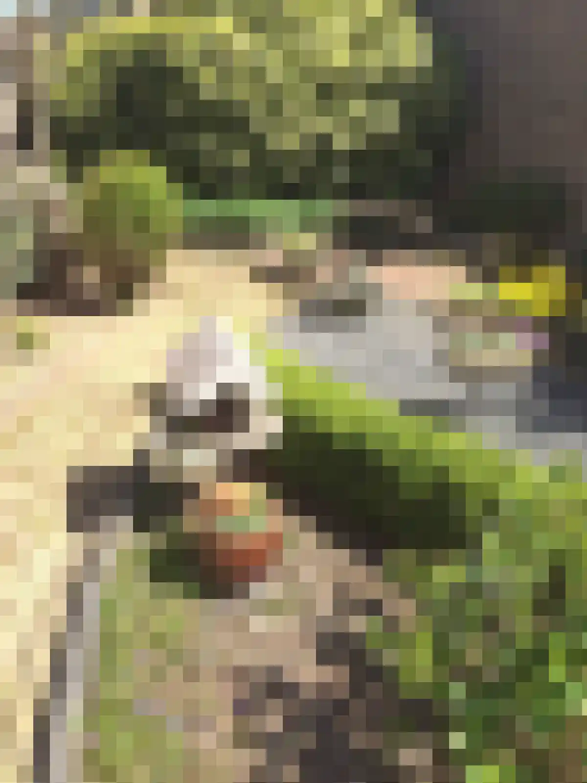 Bongerd 62 Spaubeek thumbnail 5