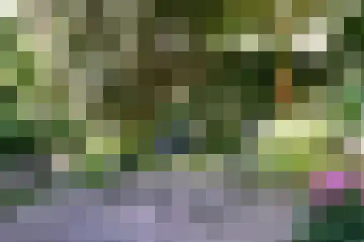 Bongerd 65 Malden thumbnail 11