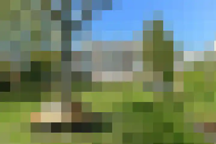 Bongerd 65 Malden thumbnail 49
