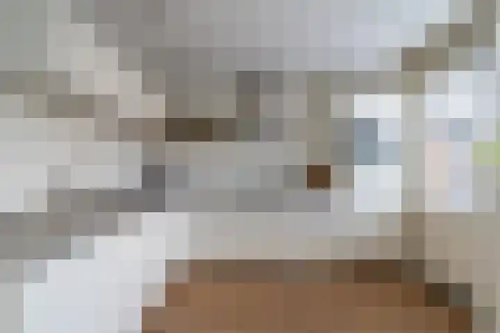 Bongerd 7 Prinsenbeek thumbnail 14