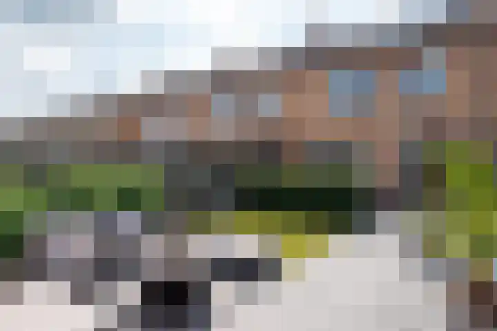 Bongerd 7 Prinsenbeek thumbnail 23