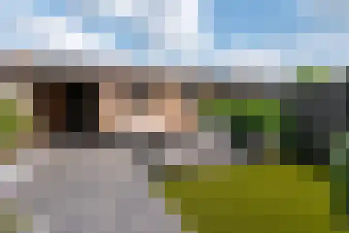 Bongerd 7 Prinsenbeek thumbnail 5