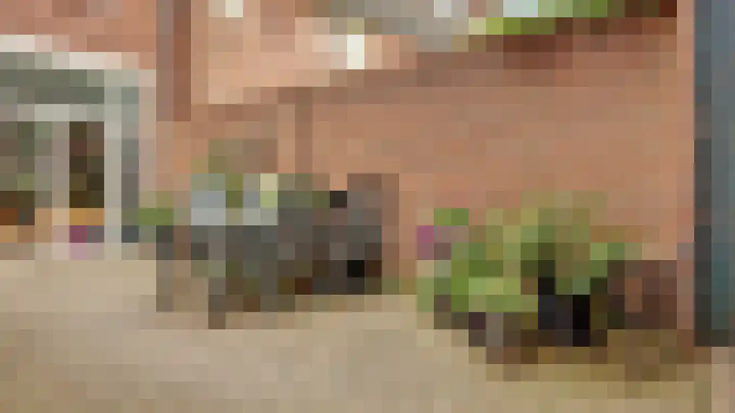 Bongerd 8 Almelo thumbnail 24