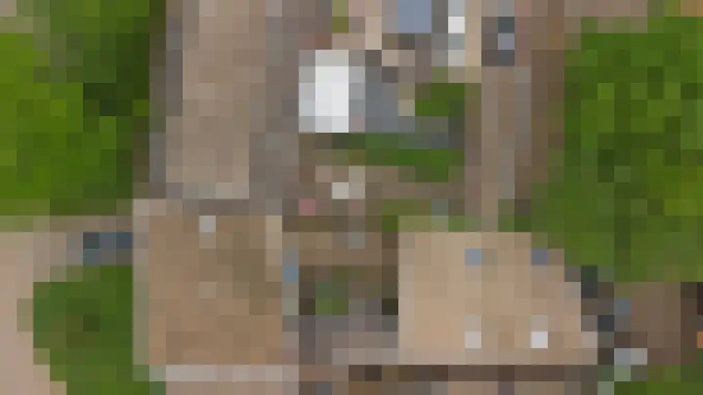 Bongerd 8 Almelo thumbnail 27