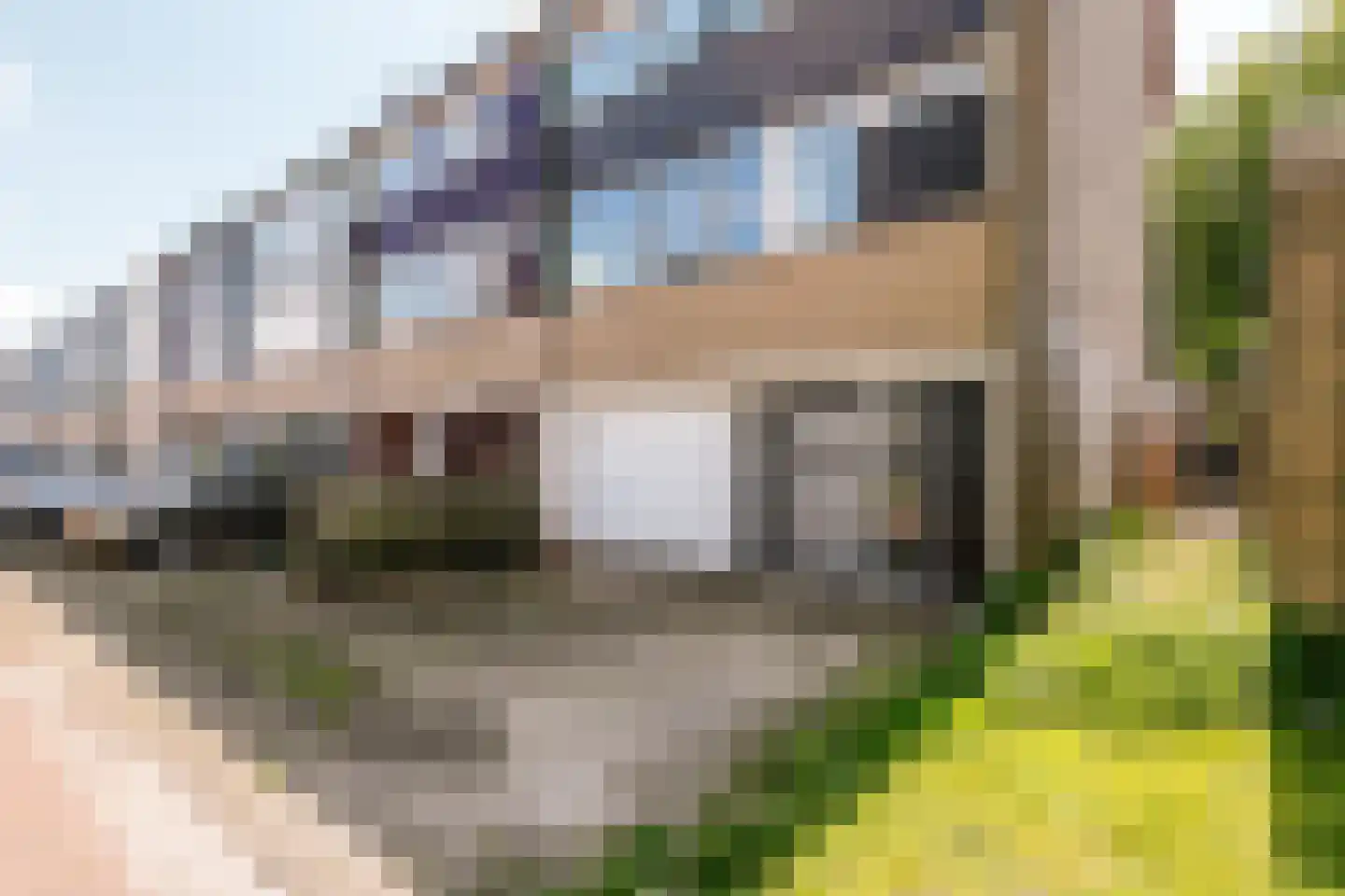 Bongerd 85 Lelystad thumbnail 30