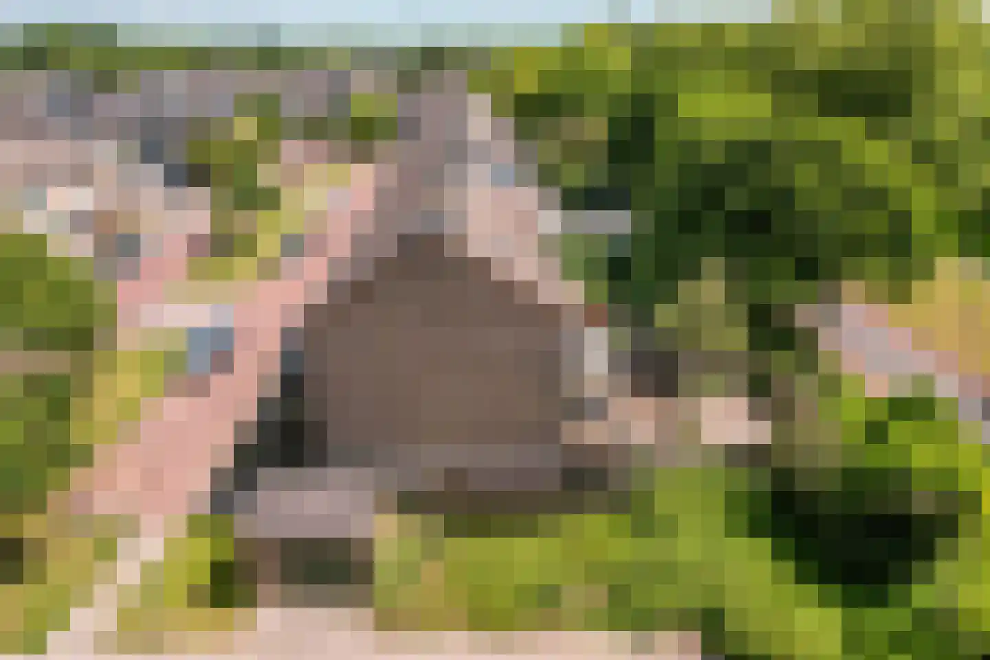Bongerd 85 Lelystad thumbnail 34