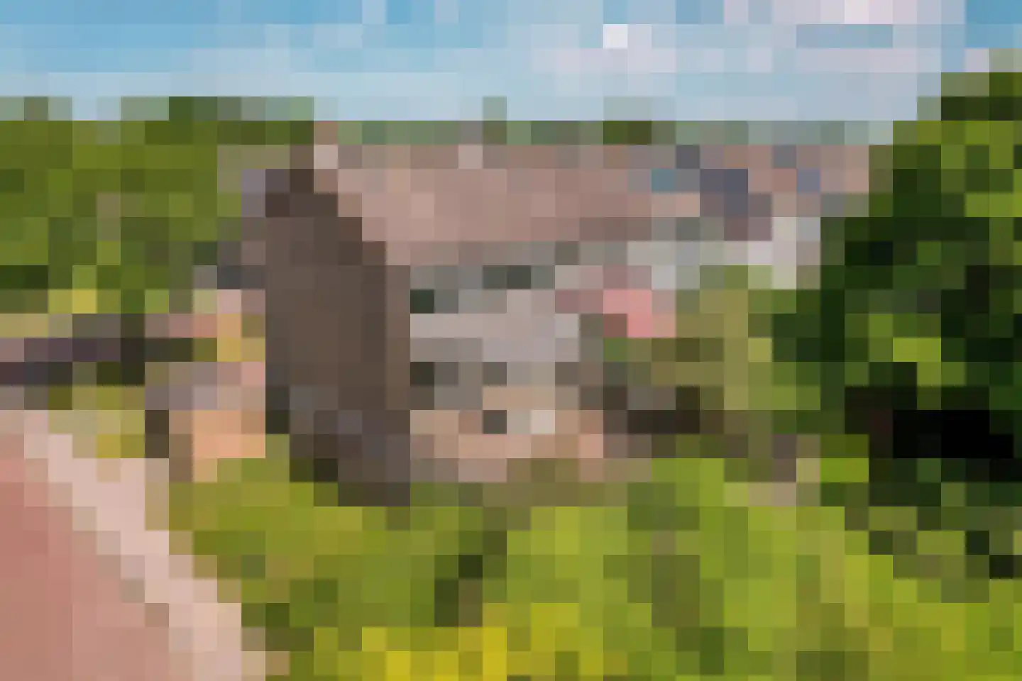 Bongerd 85 Lelystad thumbnail 35