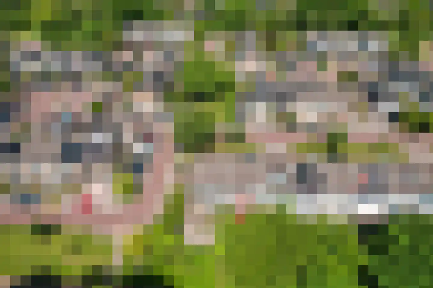 Bongerd 85 Lelystad thumbnail 36