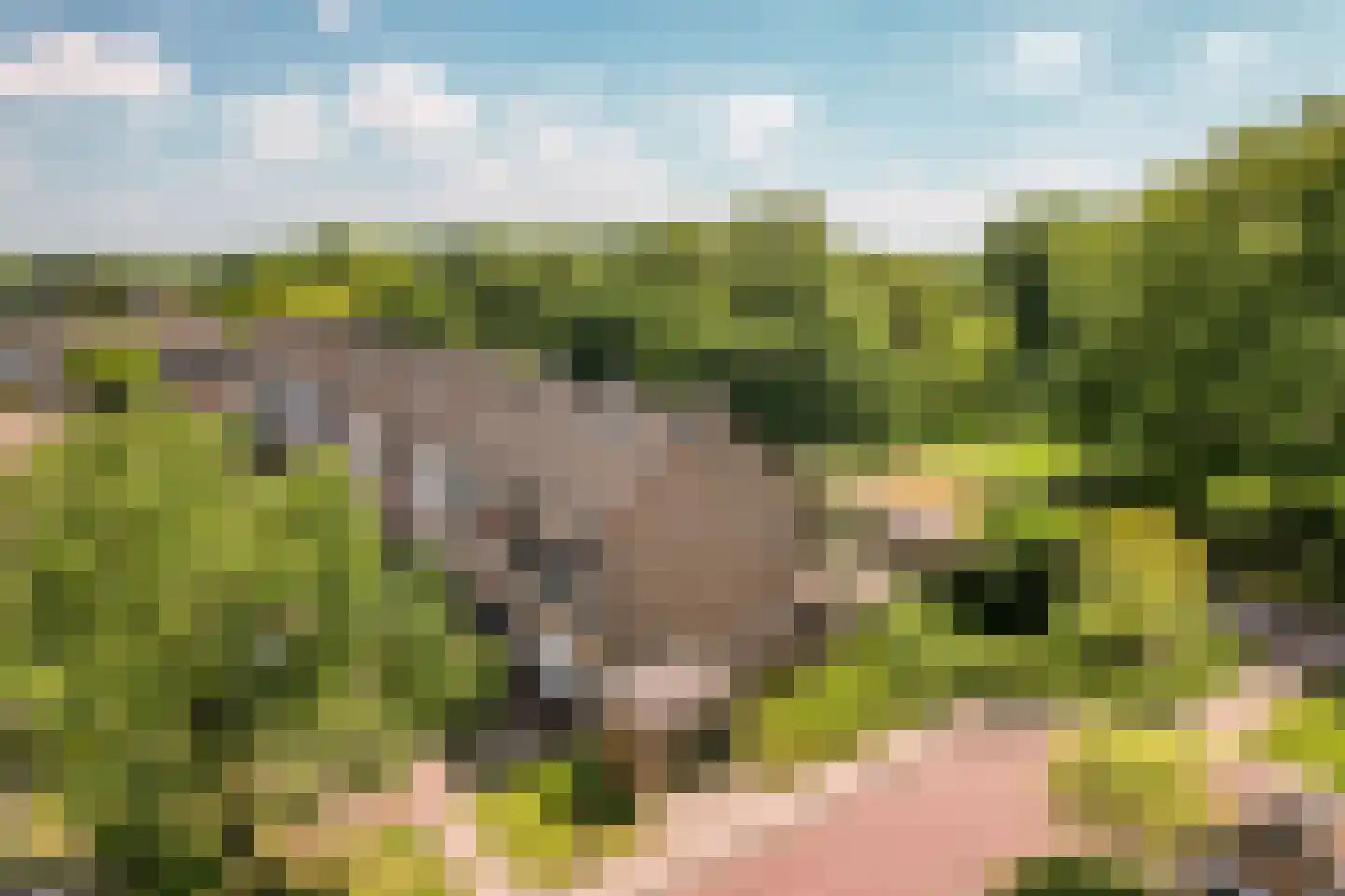 Bongerd 85 Lelystad thumbnail 6