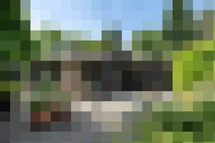 Bongerd 9 Aartswoud