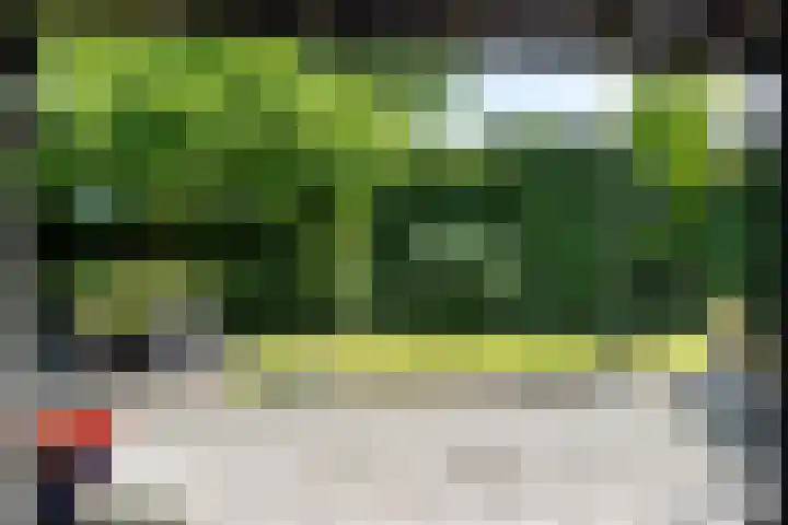 Bongerd 9 Aartswoud thumbnail 10
