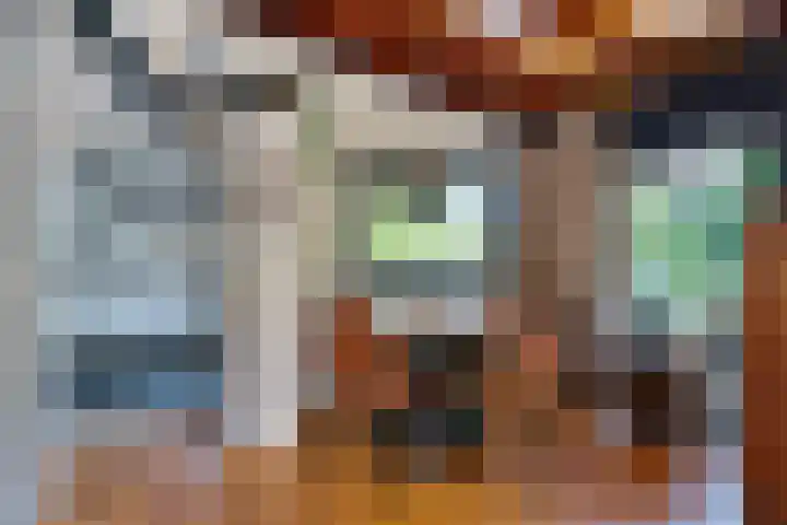 Bongerd 9 Aartswoud thumbnail 11