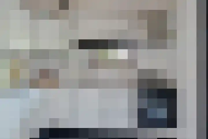 Bongerd 9 Aartswoud thumbnail 13