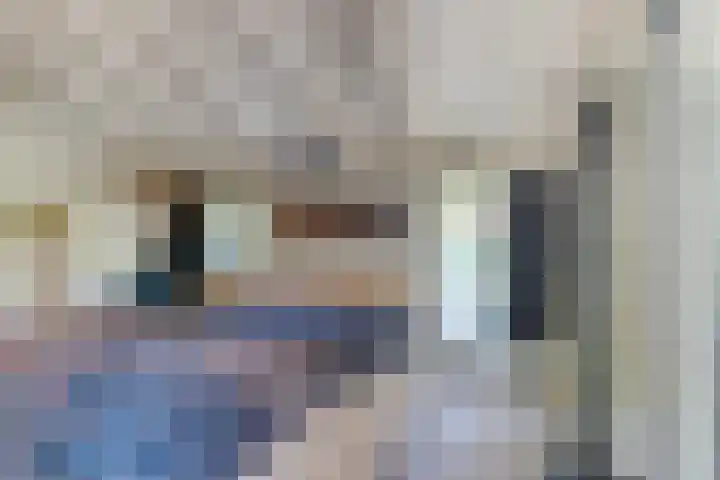 Bongerd 9 Aartswoud thumbnail 15