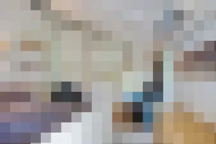 Bongerd 9 Aartswoud thumbnail 16