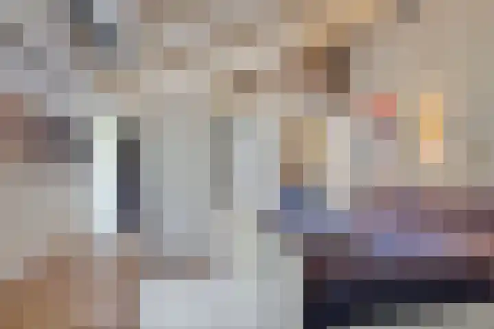 Bongerd 9 Aartswoud thumbnail 17