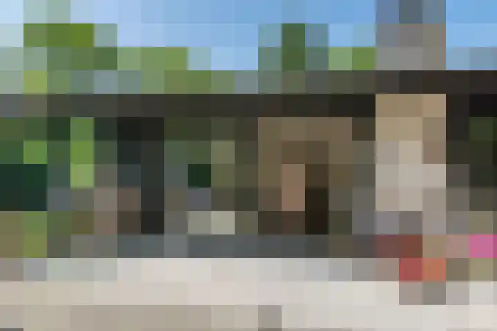 Bongerd 9 Aartswoud thumbnail 20