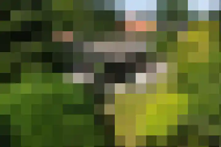 Bongerd 9 Aartswoud thumbnail 21