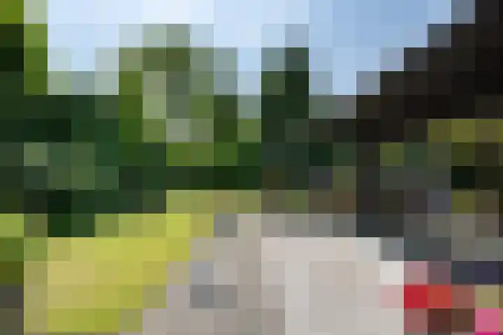 Bongerd 9 Aartswoud thumbnail 22
