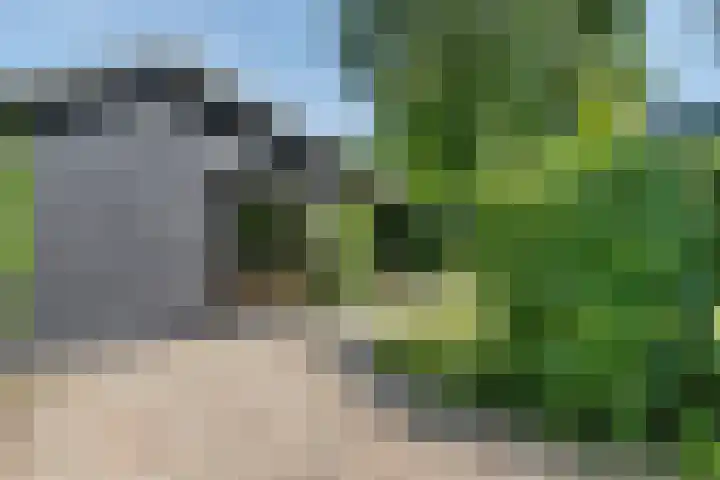 Bongerd 9 Aartswoud thumbnail 23