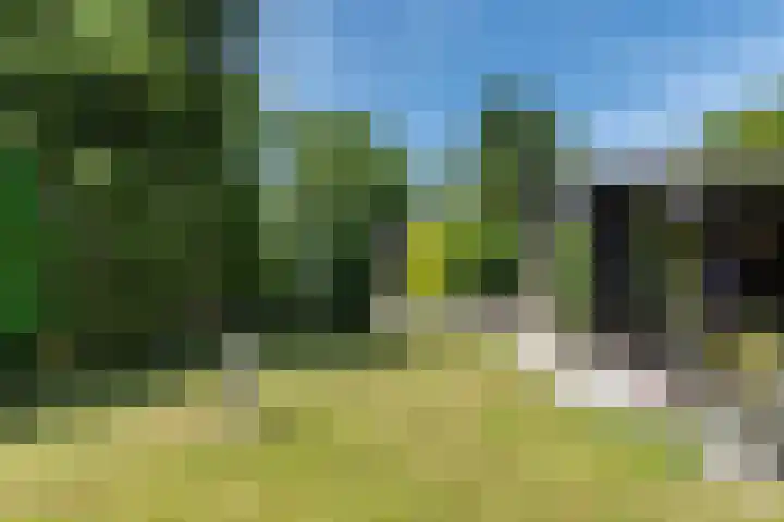 Bongerd 9 Aartswoud thumbnail 24