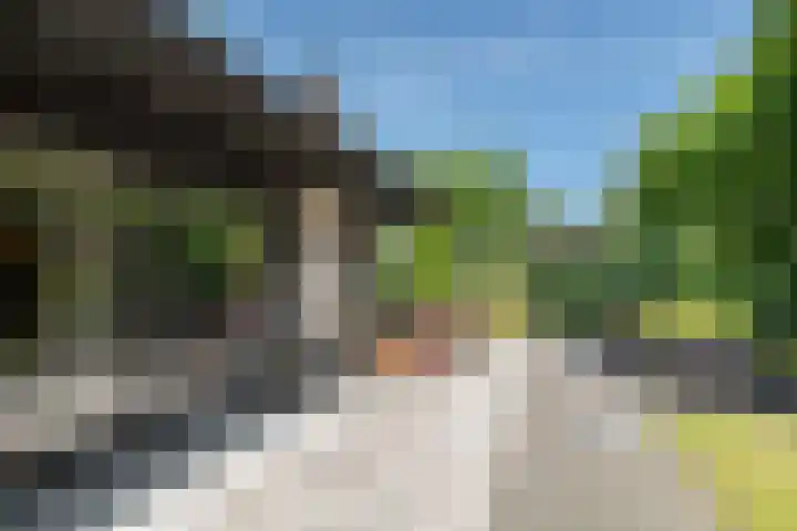 Bongerd 9 Aartswoud thumbnail 25