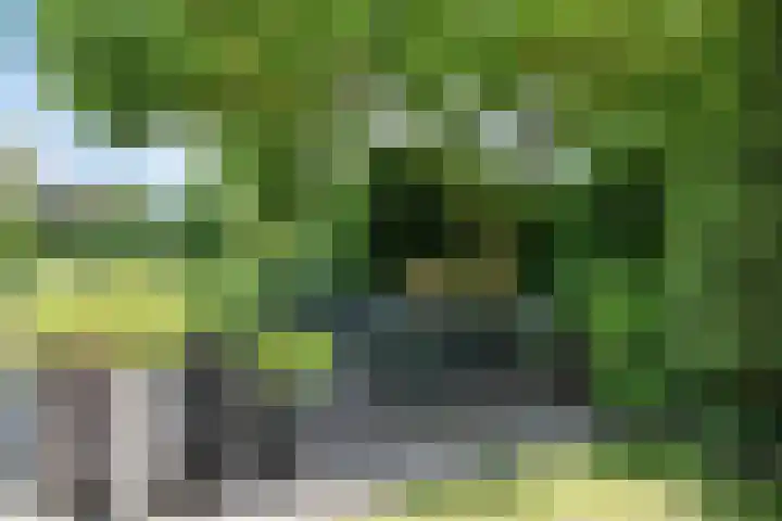 Bongerd 9 Aartswoud thumbnail 26
